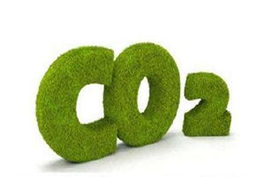 國家電網發布“碳中和”路線